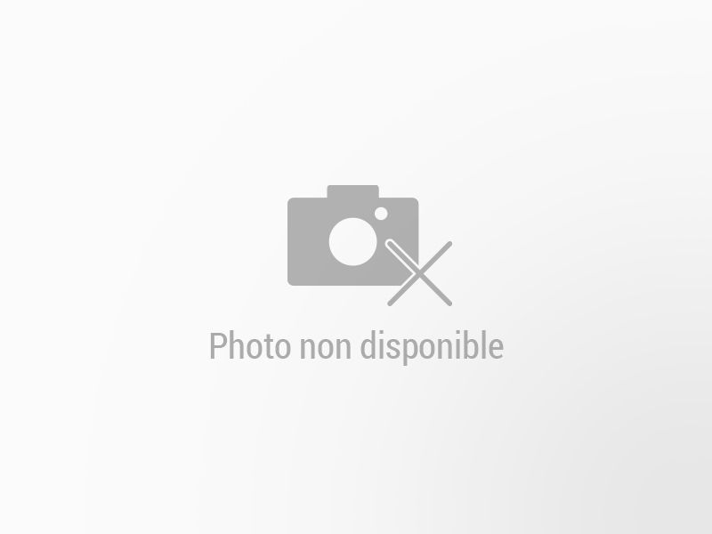 RENAULT Clio neuve à vendre à Champigny-sur-Marne
